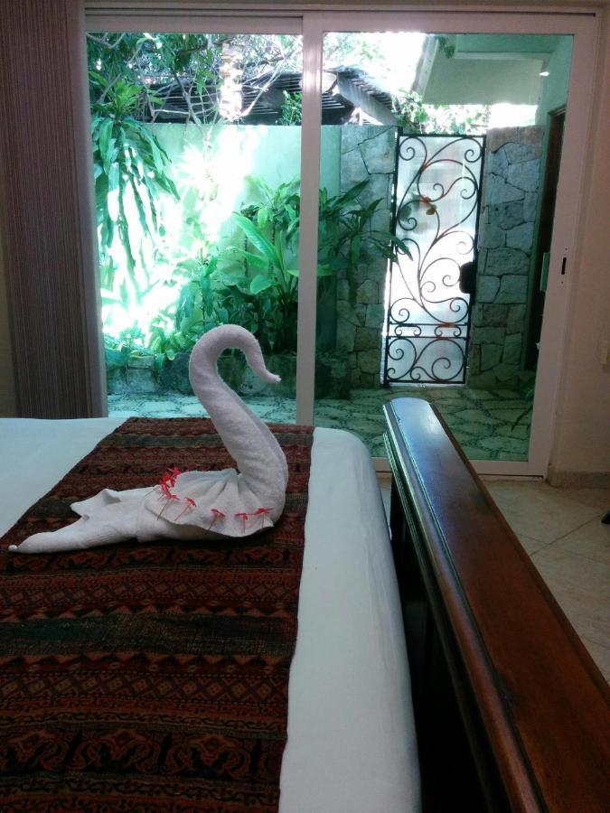 Casa Beard, Spacious Guest House With High Speed Wifi & Pool. Playa del Carmen Esterno foto