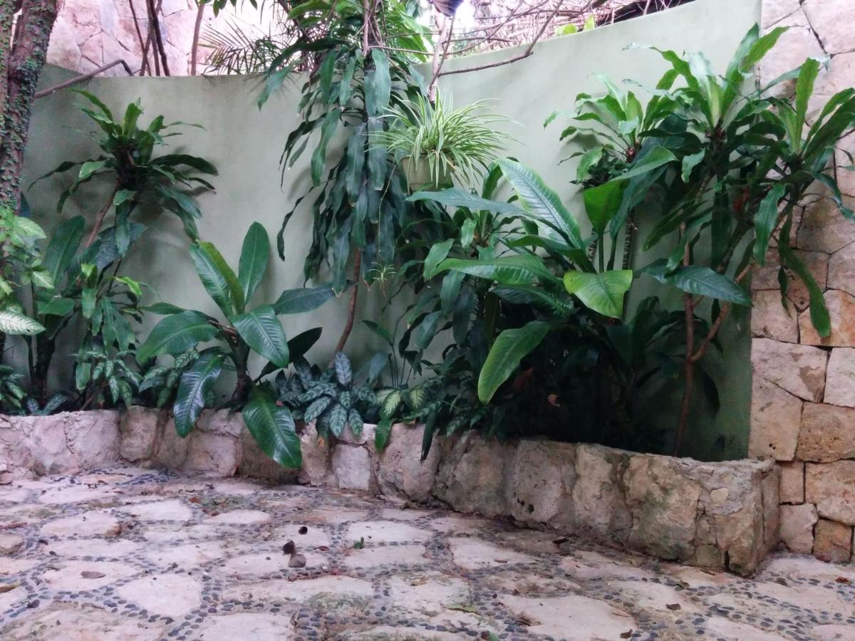 Casa Beard, Spacious Guest House With High Speed Wifi & Pool. Playa del Carmen Esterno foto